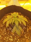 Day 14