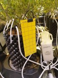 Guard and aid Insect Catcher review