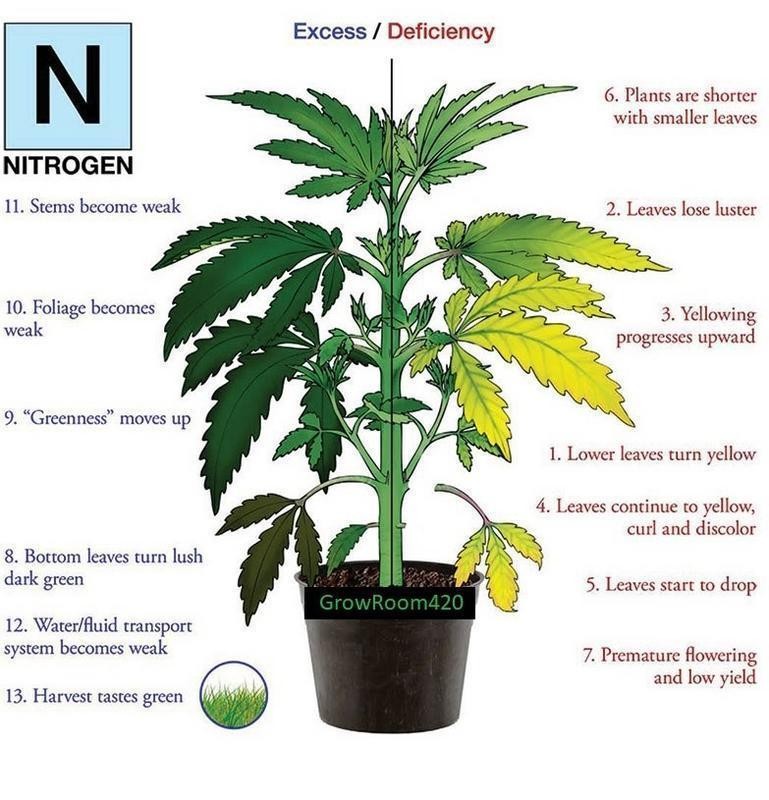 Nitrogen