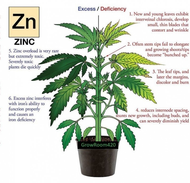 Zinc