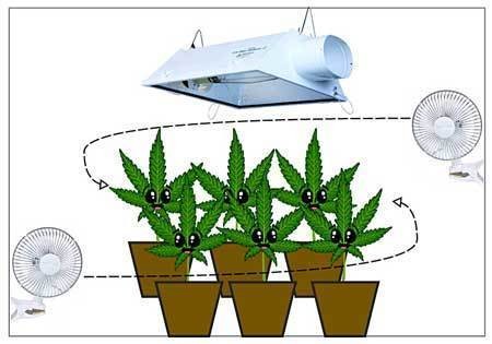 air-circulation-diagram