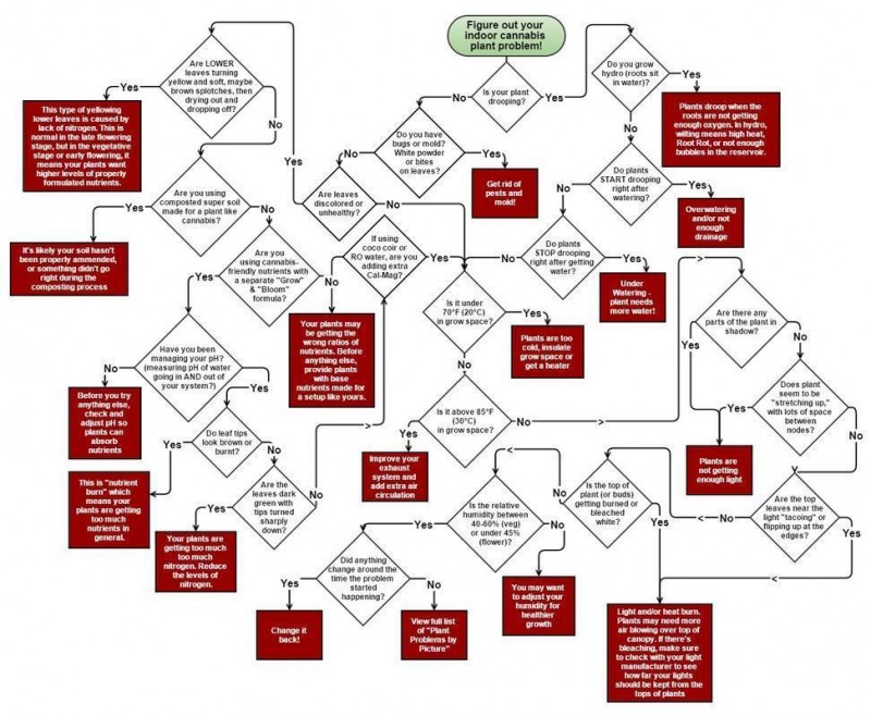 cannabis-plant-problem-flowchart