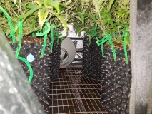 lst 2
