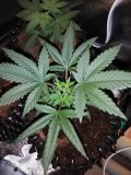 IMG_20191109_094501