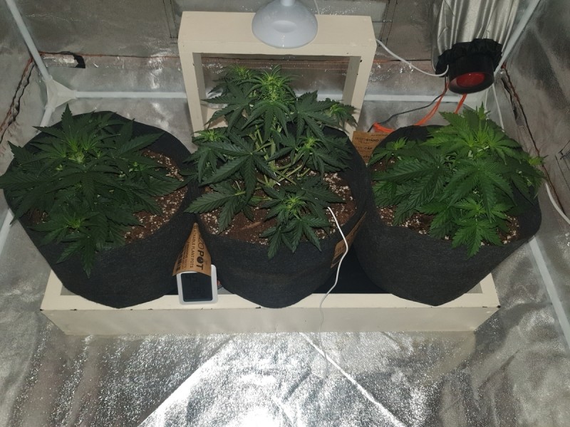DAY 20