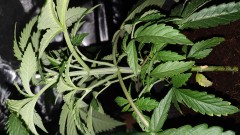 IMG-20191112-WA0101