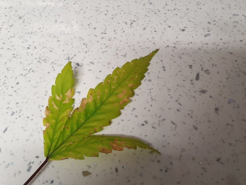 20191117_161313