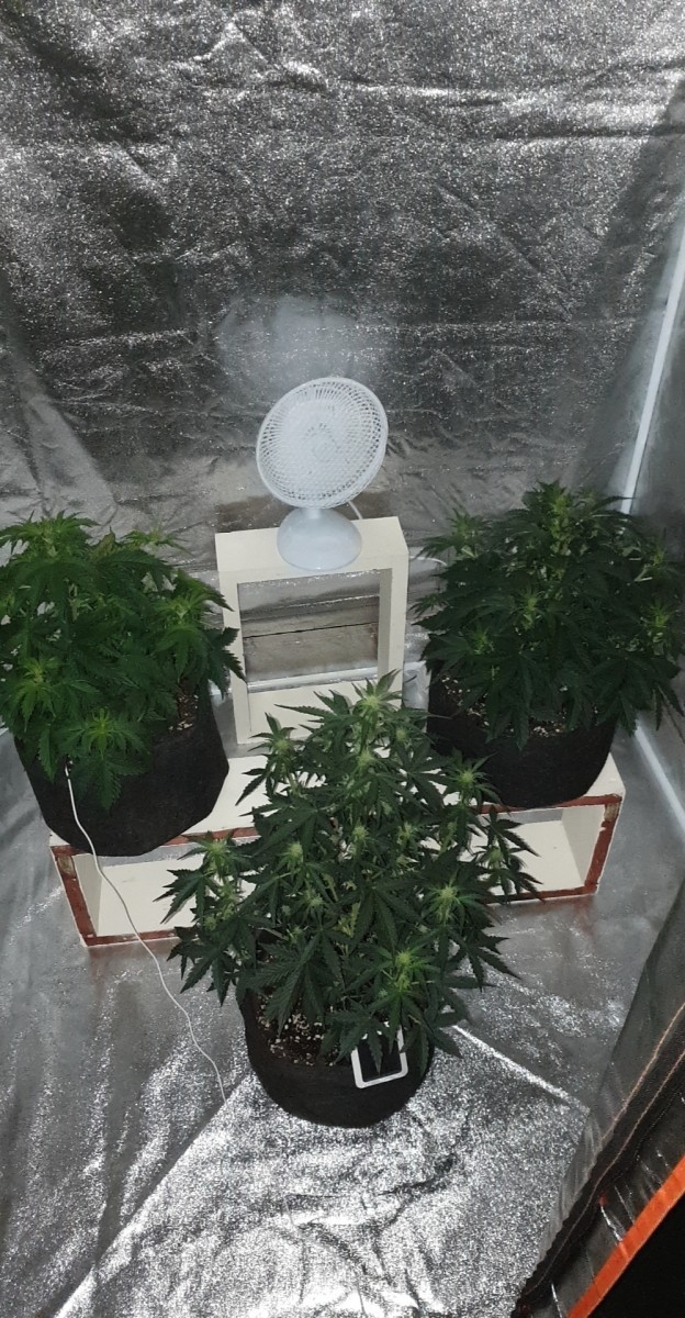 DAY 27