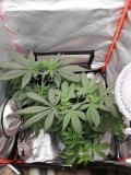 IMG_20191123_081657