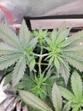 IMG_20191123_081733
