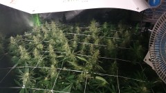 IMG-20191203-WA0165