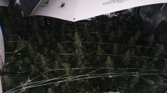 IMG-20191203-WA0171
