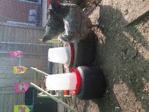 20190409_161826