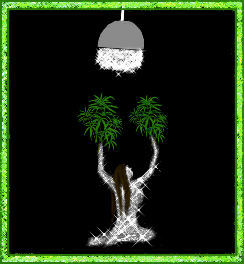 Untitled217