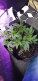 IMG-20191209-WA0010