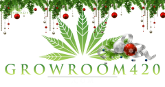 Logo Xmas Comps