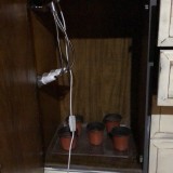 IMG_1853 (1)