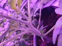 20191220_152408