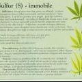 medium_sulphur-info-marijuana