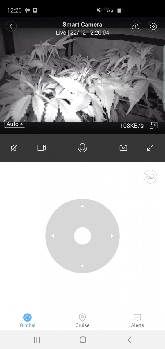 Screenshot_20191222-122005_YI IoT
