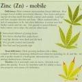 medium_zinc-info-marijuana