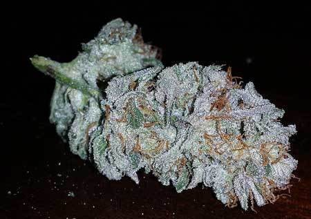 most-beautiful-nug-in-the-world-sm