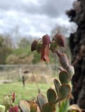 IMG_3567