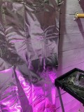 IMG_3760