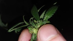 IMG-20200103-WA0044