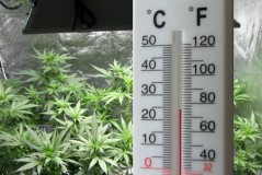 temperature-monitor-grow-room-sm