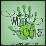 Some see a weed..