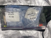 Germination Setup