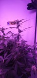 IMG-20200114-WA0006