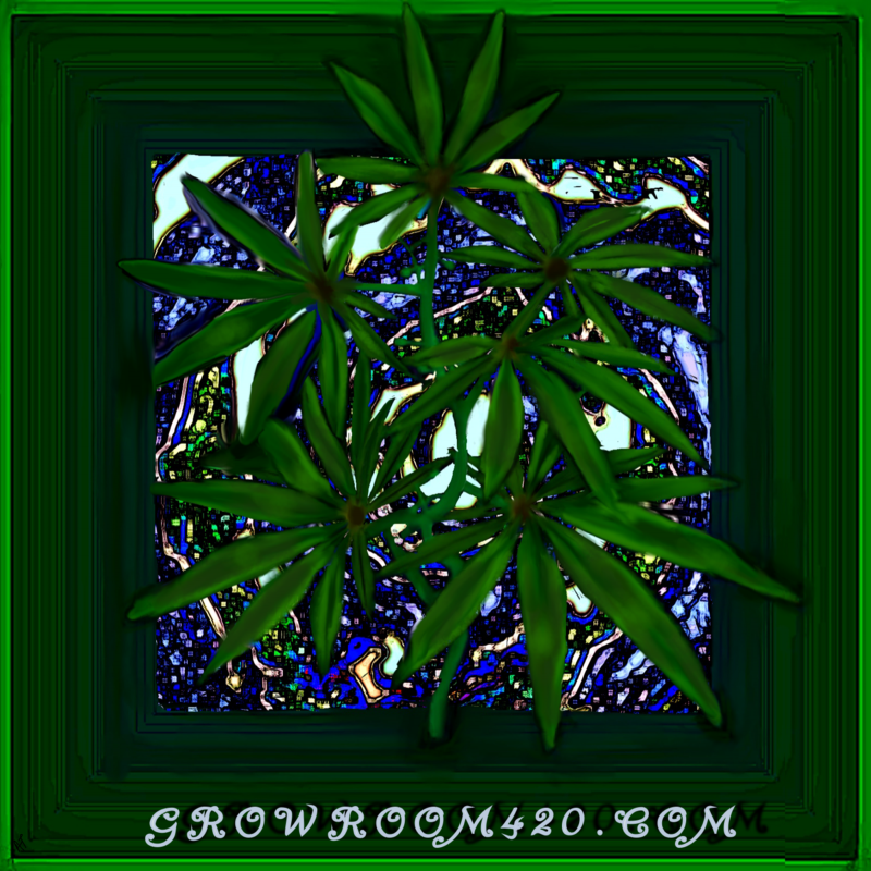 Untitled394