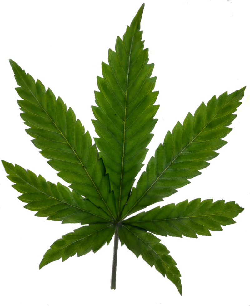 Beginning potassium  deficiency