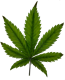 Middle stage potassium deficiency