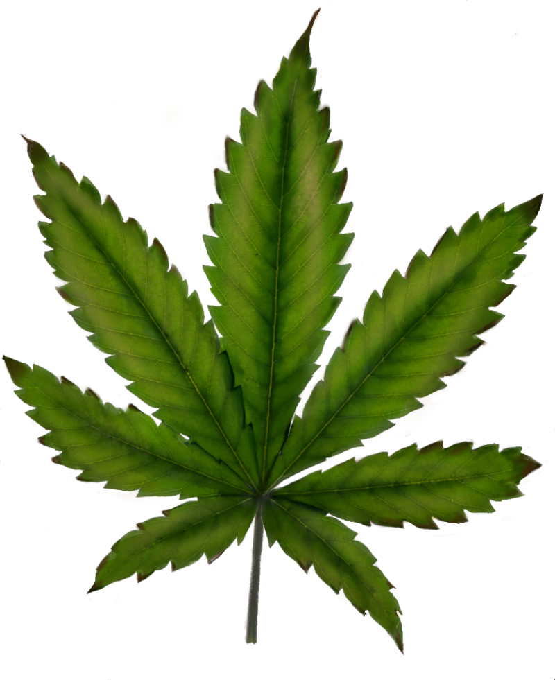 Later stage potassium deficiency