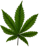 Beginning magnesium deficiency