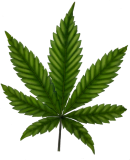 Middle stage magnesium deficiency