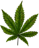 Later stage magnesium deficiency