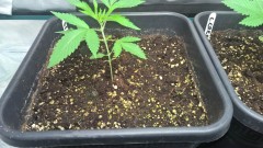 WP_20200118_20_47_27_Pro
