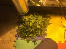 8BCFEA2F-74F6-478D-90BE-BFFCCE697D7E