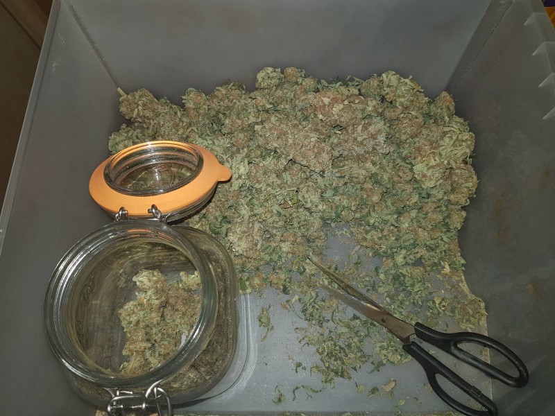GDP trimming