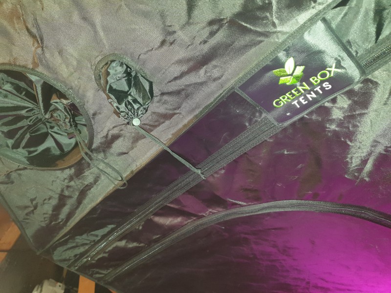 Green Box Tents review