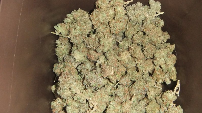 harvest box