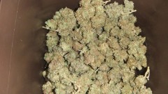 harvest box