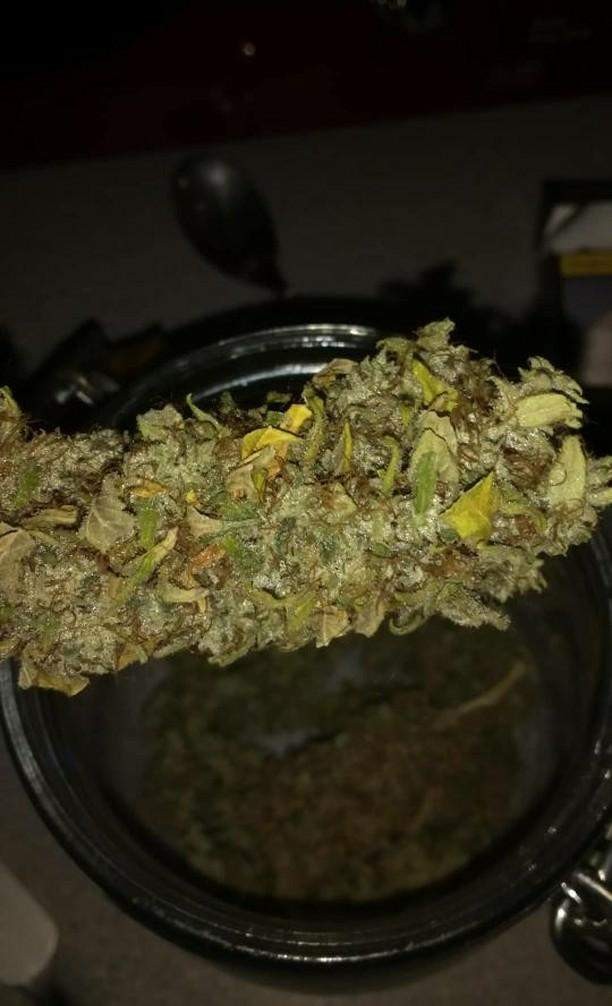 super lemon