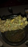 super lemon