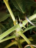 IMG_20200425_074057