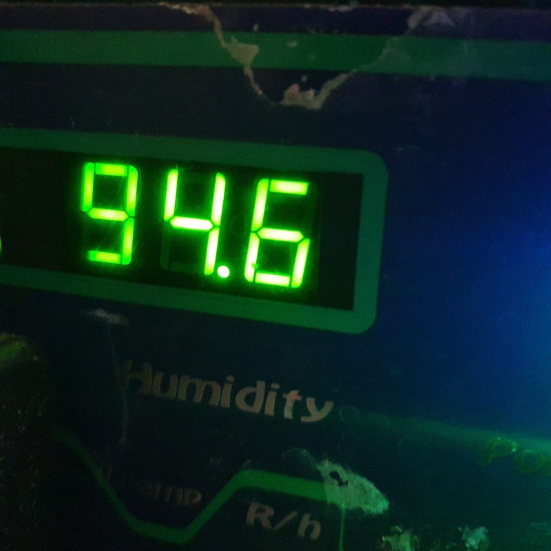 2020-04-25 10.24.51